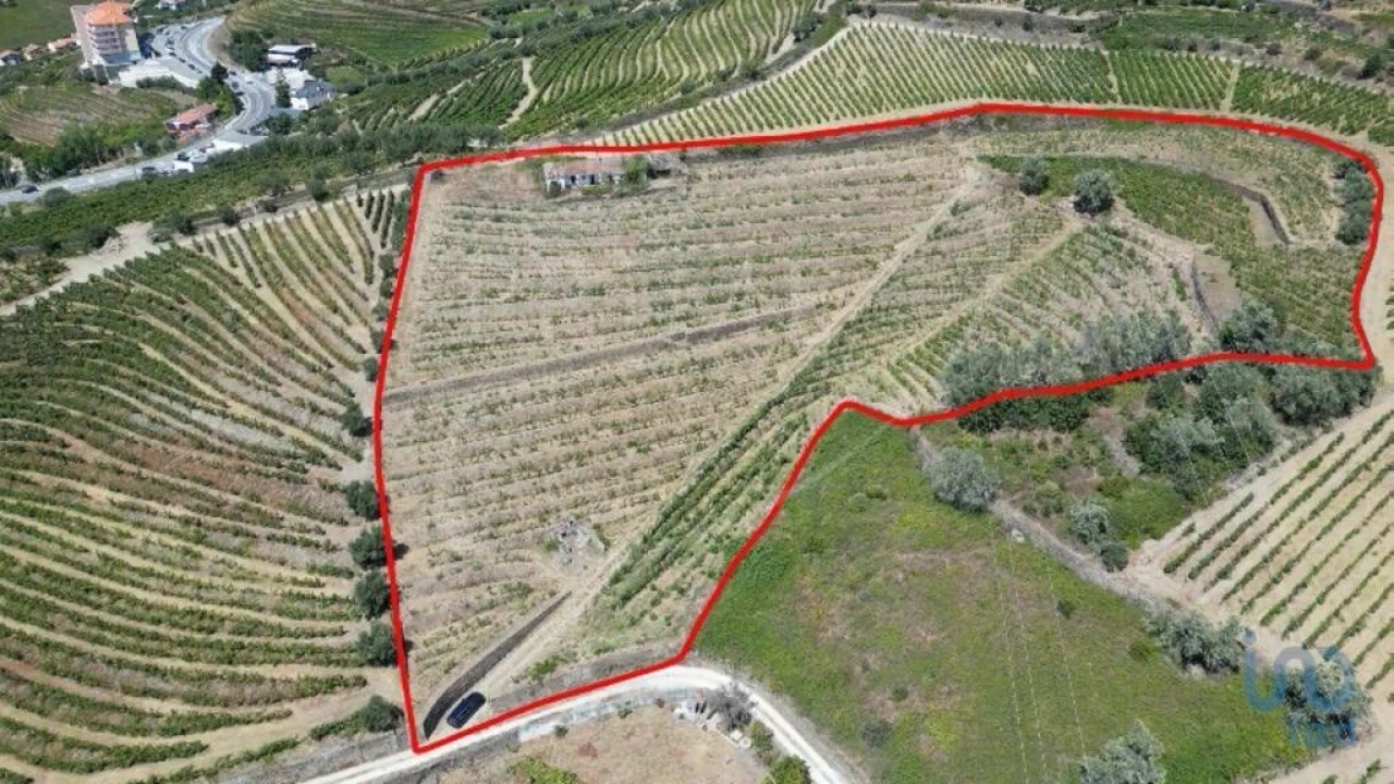 Terreno para Venda em Peso da Régua e Godim Foto 1