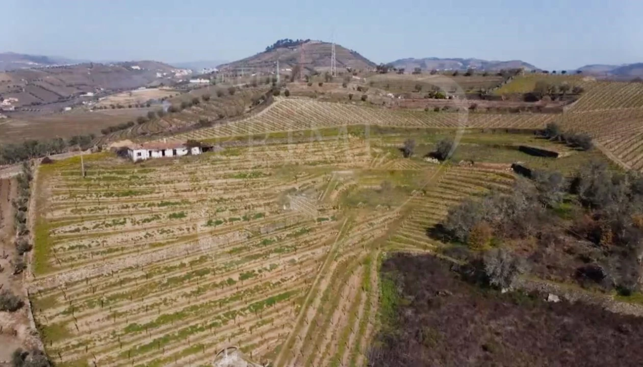 Terreno para Venda em Peso da Régua e Godim Foto 3