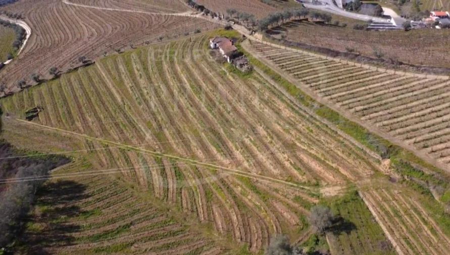 Terreno para Venda em Peso da Régua e Godim Foto 5