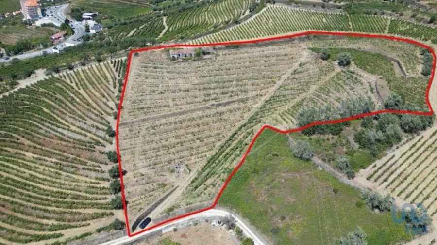 Terreno para Venda em Peso da Régua e Godim