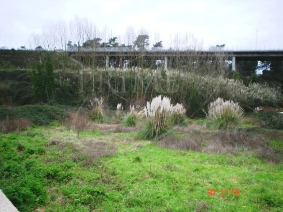 Terreno para Venda em Oliveira do Douro Foto 1