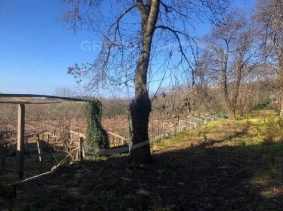 Terreno para Venda em Santa Marinha e São Pedro da Afurada Foto 7