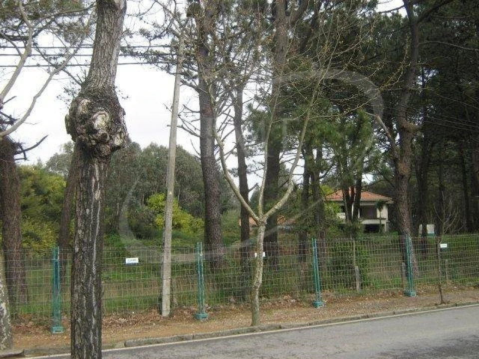 Terreno para Venda em Gulpilhares e Valadares Foto 1