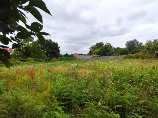 Terreno para Venda em Campos e Vila Meã Foto 12