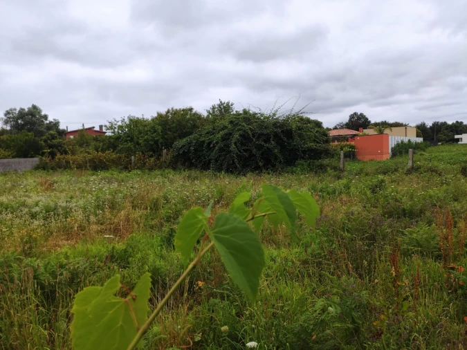 Terreno para Venda em Campos e Vila Meã Foto 13