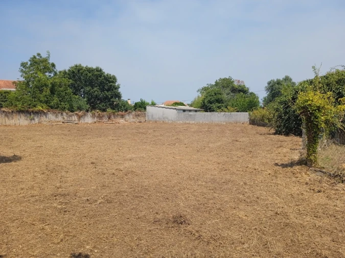 Terreno para Venda em Campos e Vila Meã Foto 6