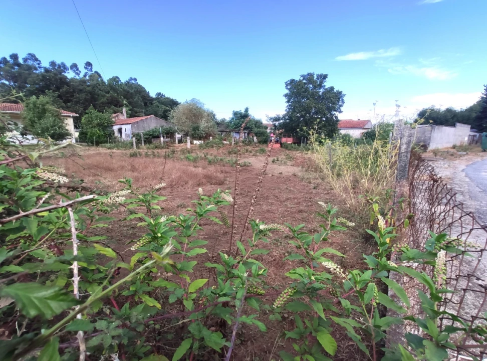 Terreno para Venda em Campos e Vila Meã Foto 1