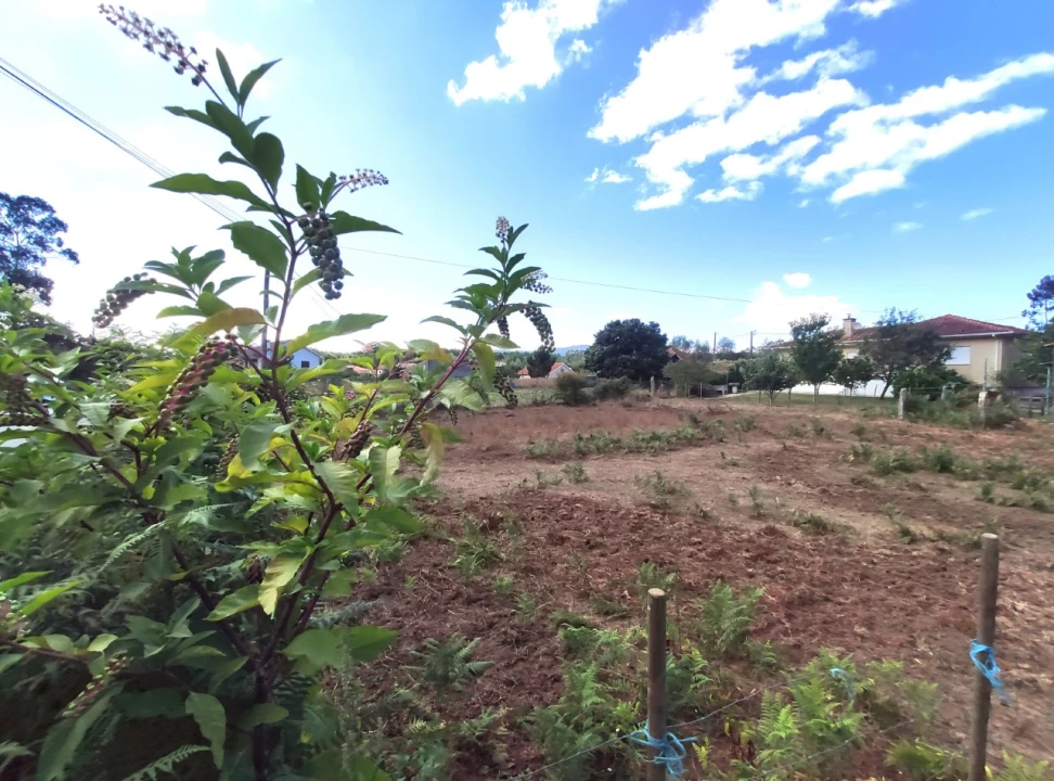 Terreno para Venda em Campos e Vila Meã Foto 4