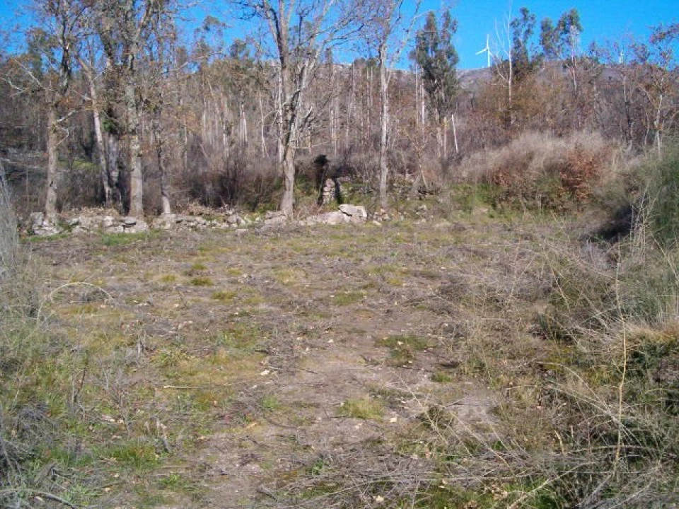 Terreno para Venda em Sopo Foto 2