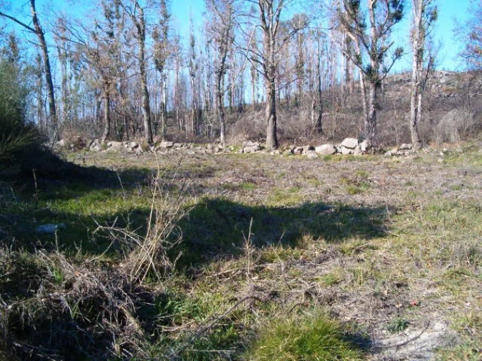 Terreno para Venda em Sopo Foto 3