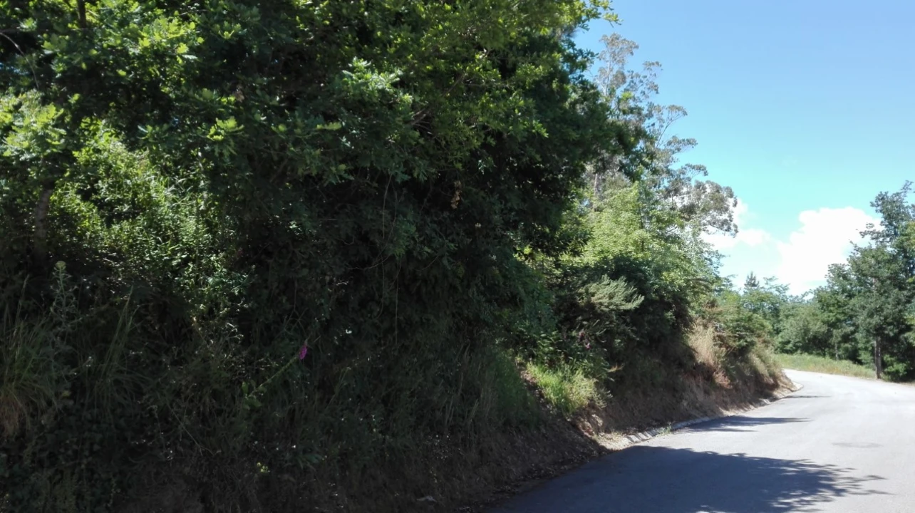 Terreno para Venda em Campos e Vila Meã Foto 3
