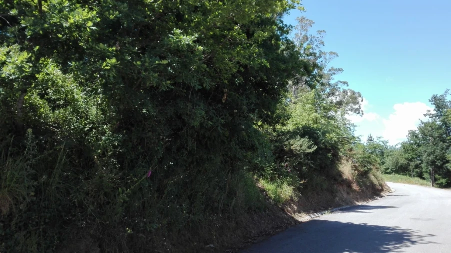 Terreno para Venda em Campos e Vila Meã Foto 3