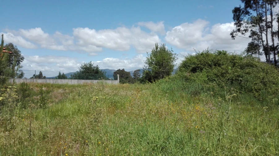 Terreno para Venda em Campos e Vila Meã Foto 5