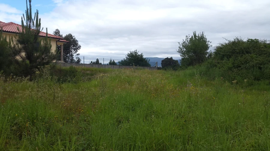 Terreno para Venda em Campos e Vila Meã