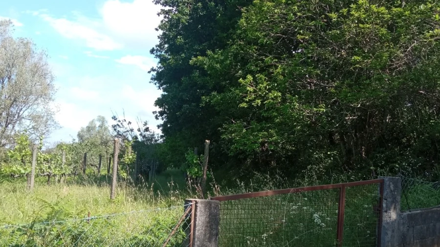 Terreno para Venda em Cornes