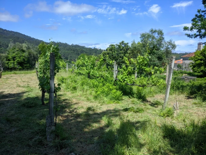 Terreno para Venda em Cornes Foto 1