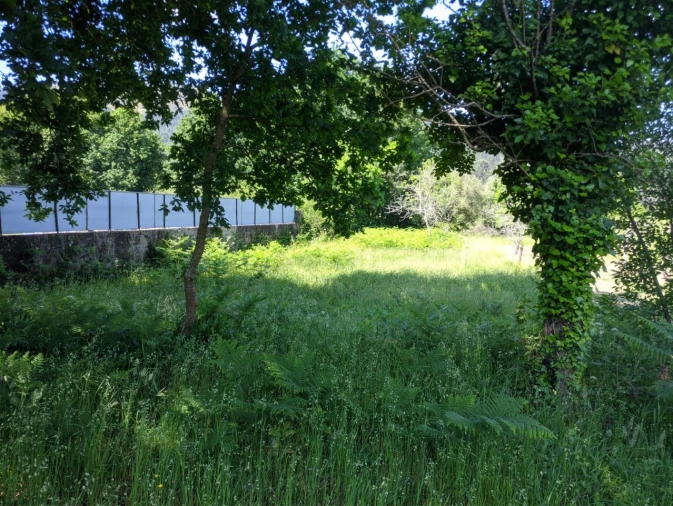Terreno para Venda em Cornes Foto 4