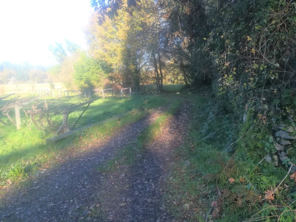 Terreno para Venda em Reboreda e Nogueira Foto 2