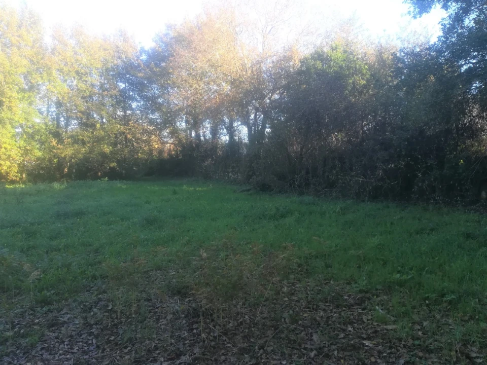 Terreno para Venda em Reboreda e Nogueira Foto 4