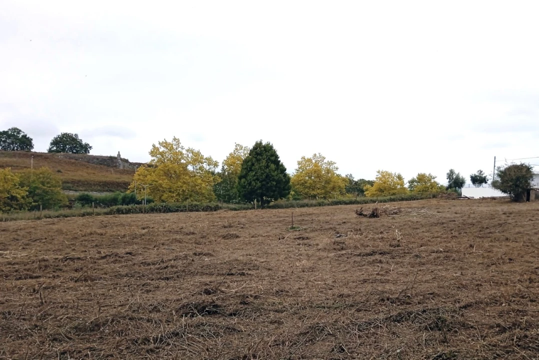 Terreno para Venda em Vila Nova de Cerveira e Lovelhe Foto 3