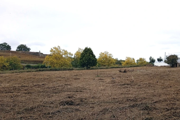 Terreno para Venda em Vila Nova de Cerveira e Lovelhe Foto 3