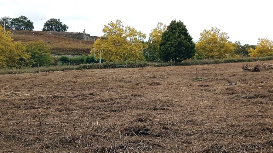 Terreno para Venda em Vila Nova de Cerveira e Lovelhe