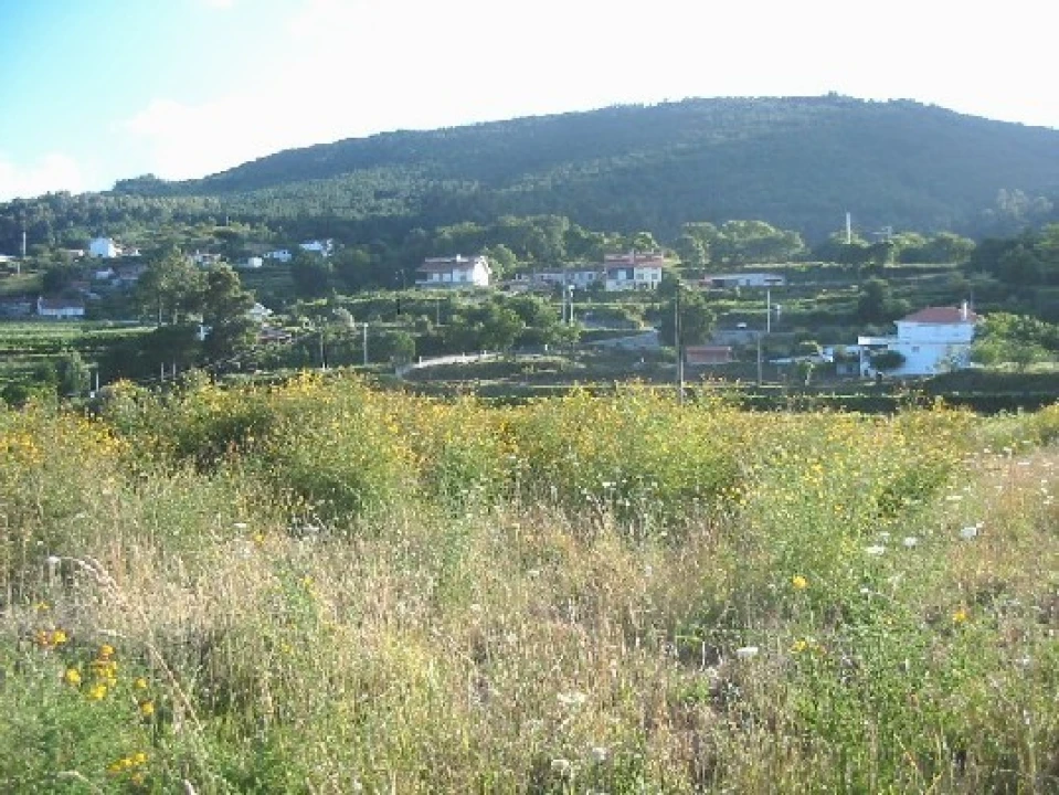 Terreno para Venda em Candemil e Gondar Foto 3