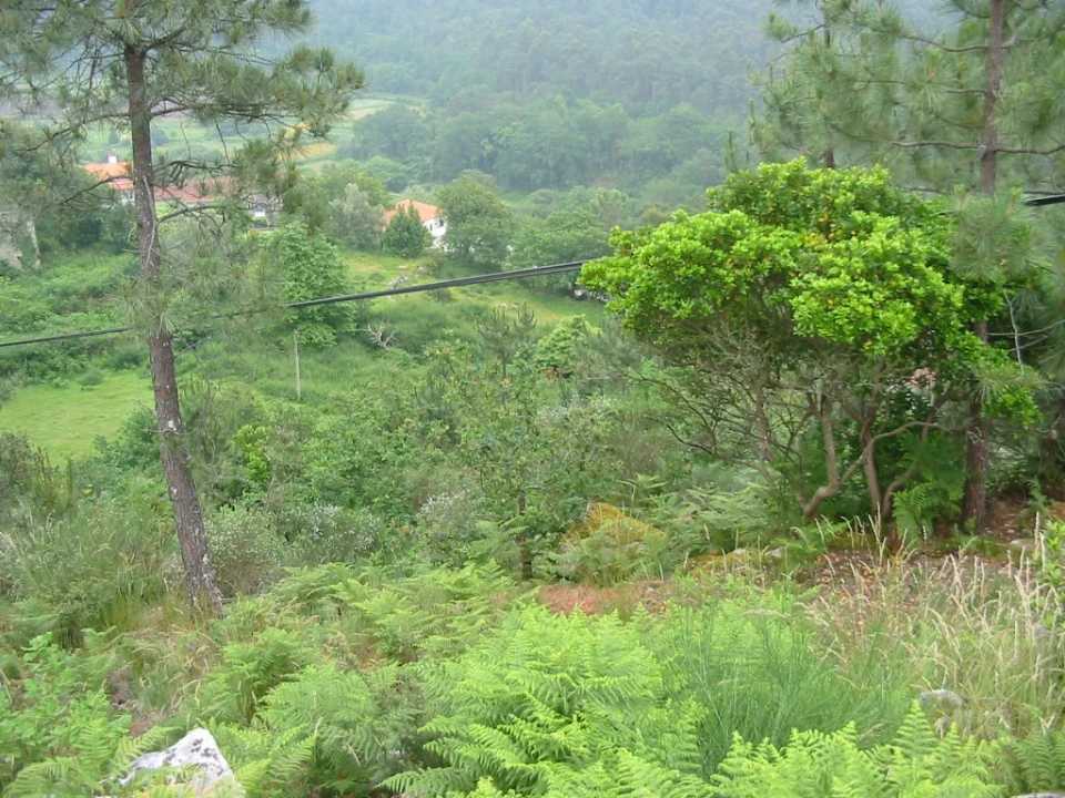 Terreno para Venda em Sopo Foto 5