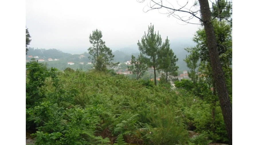 Terreno para Venda em Sopo