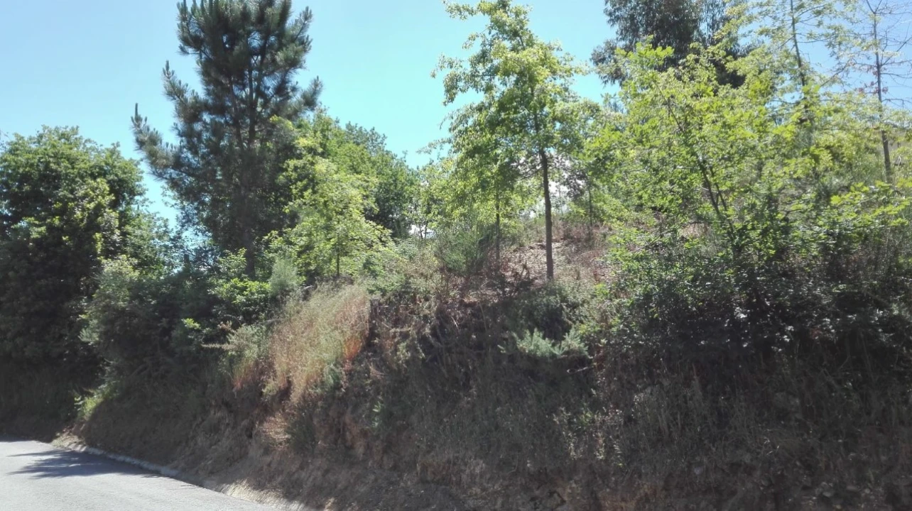 Terreno para Venda em Campos e Vila Meã Foto 3