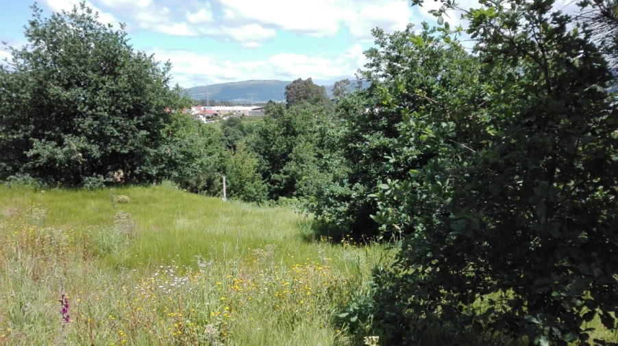 Terreno para Venda em Campos e Vila Meã Foto 1