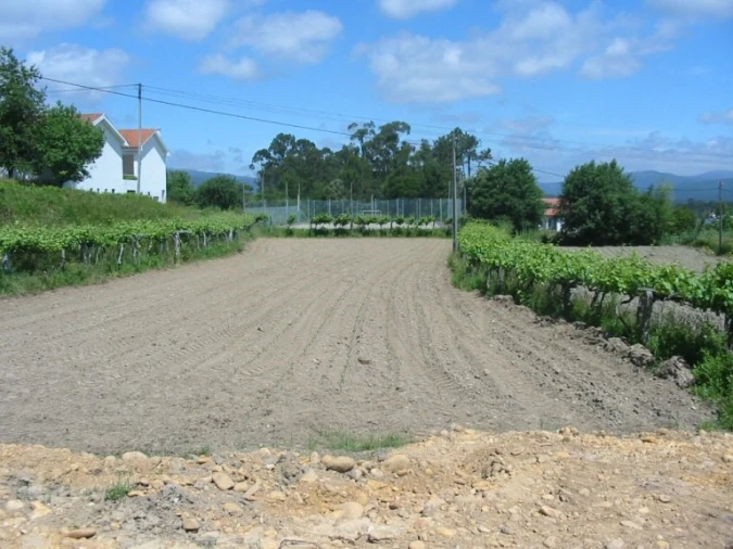 Terreno para Venda em Reboreda e Nogueira