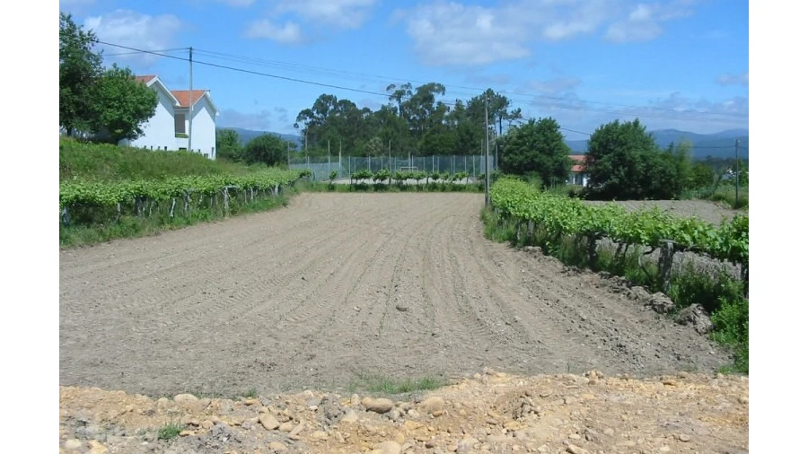 Terreno para Venda em Reboreda e Nogueira