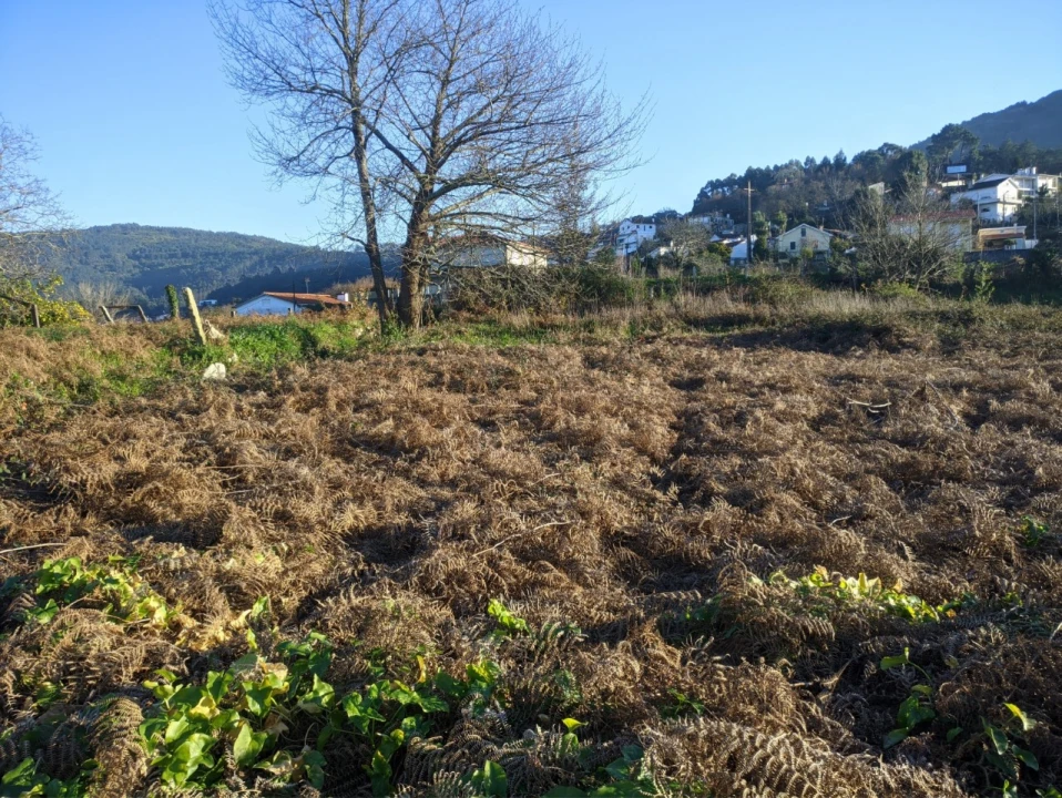 Terreno para Venda em Gondarem Foto 7