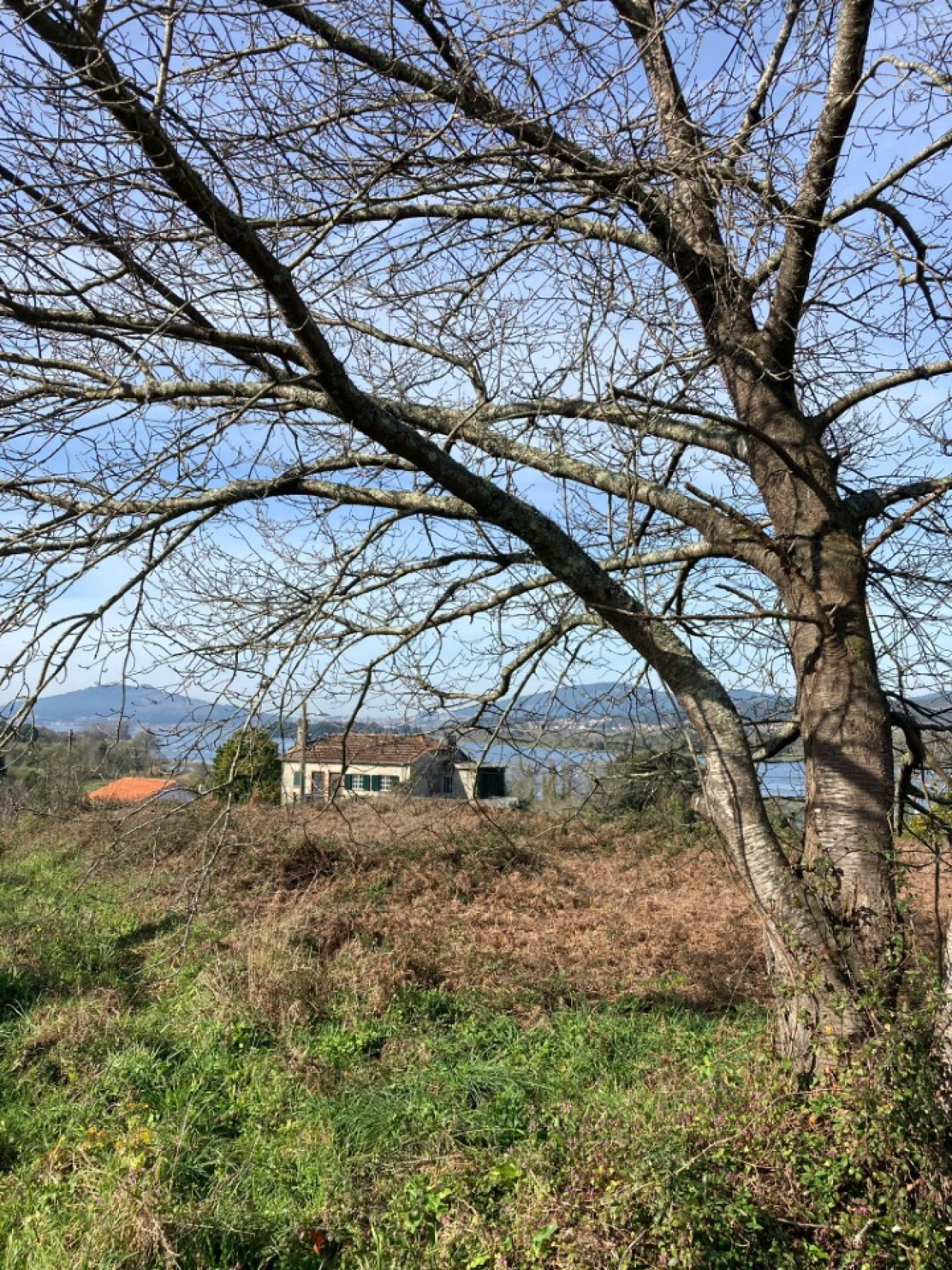 Terreno para Venda em Gondarem Foto 4