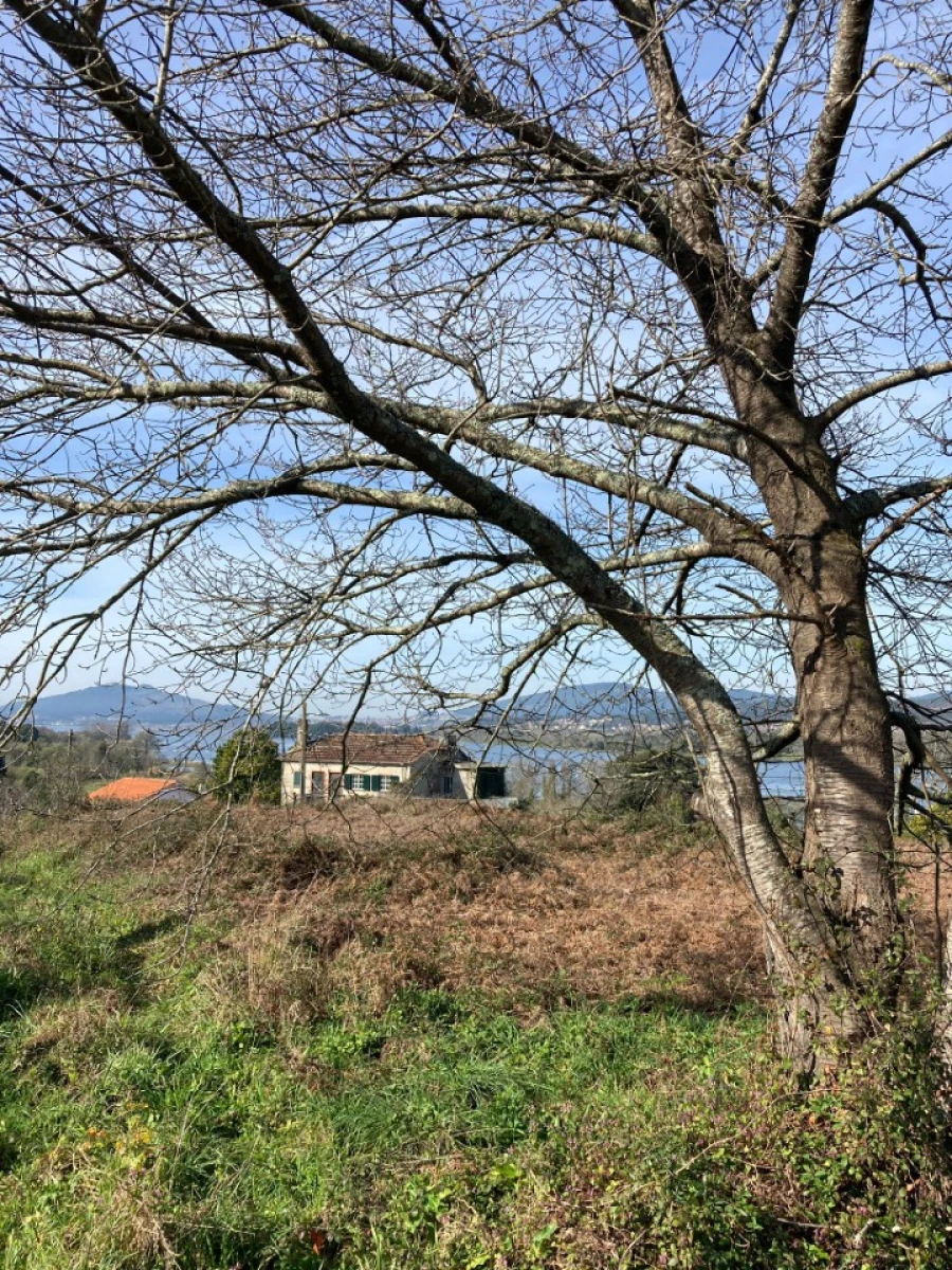 Terreno para Venda em Gondarem Foto 4
