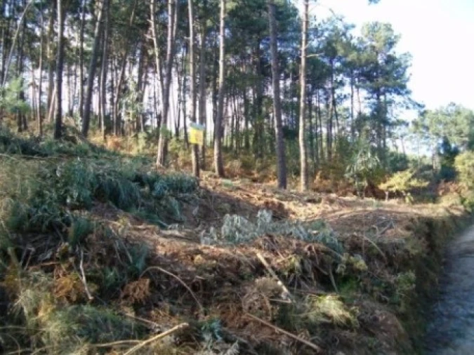 Terreno para Venda em Gondarem Foto 1