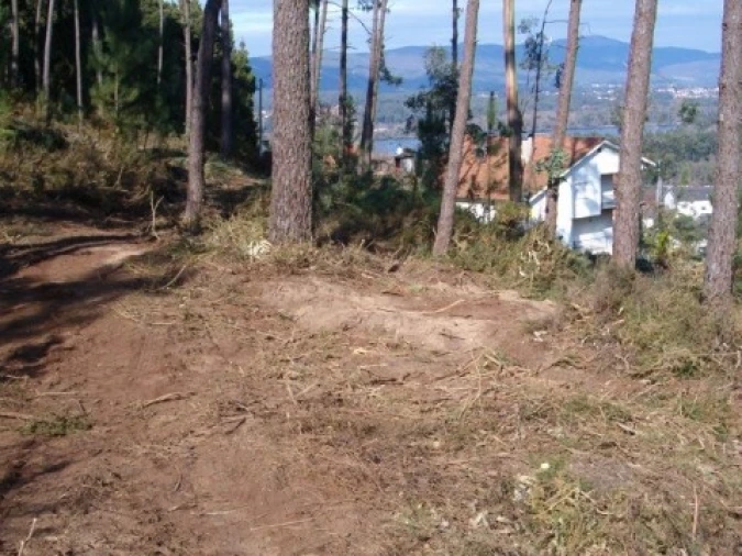 Terreno para Venda em Gondarem Foto 2