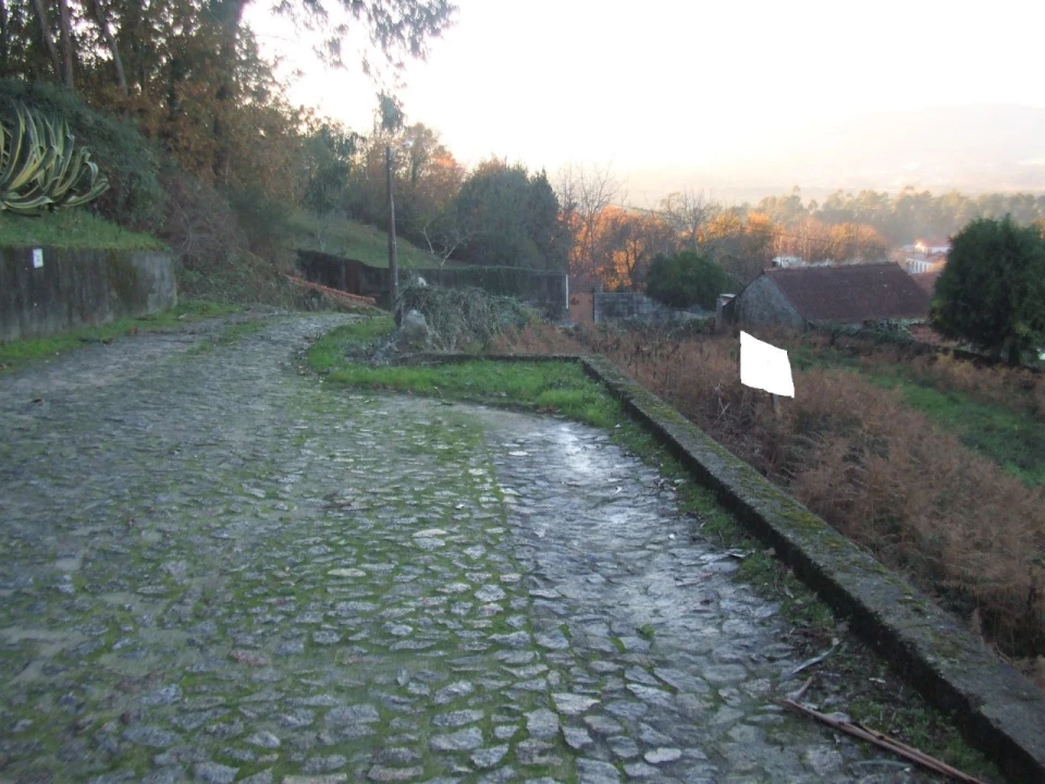 Terreno para Venda em Reboreda e Nogueira Foto 1