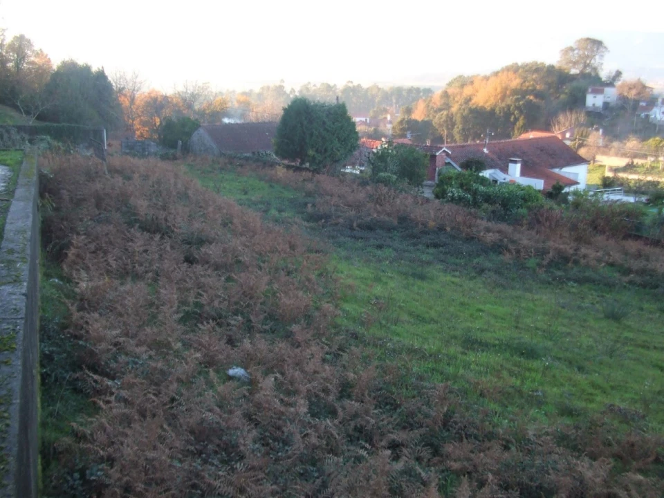 Terreno para Venda em Reboreda e Nogueira Foto 3