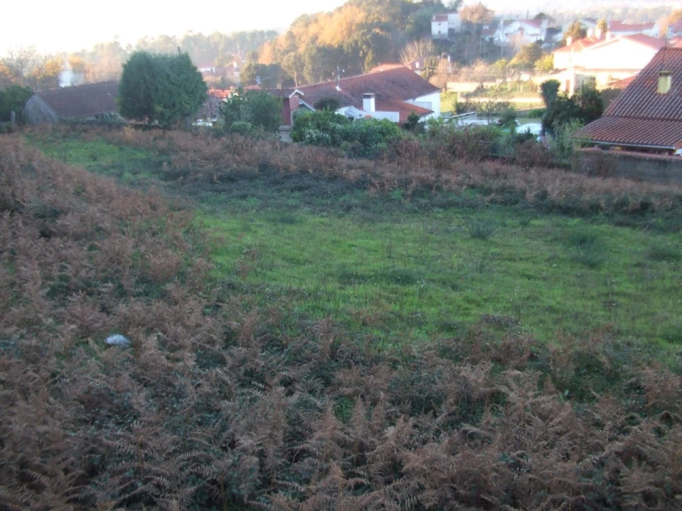 Terreno para Venda em Reboreda e Nogueira Foto 4