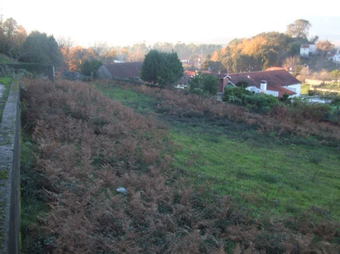 Terreno para Venda em Reboreda e Nogueira Foto 3