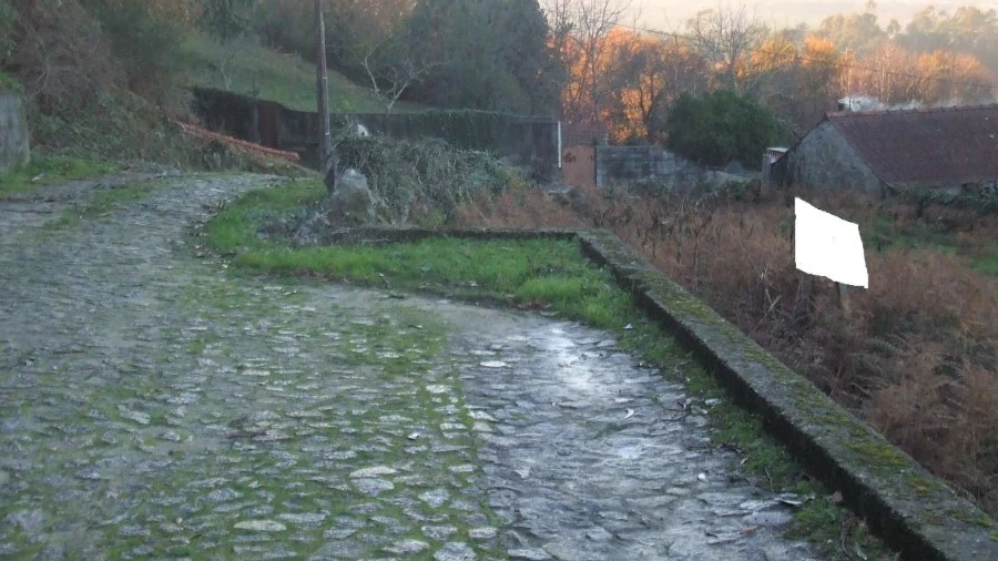 Terreno para Venda em Reboreda e Nogueira