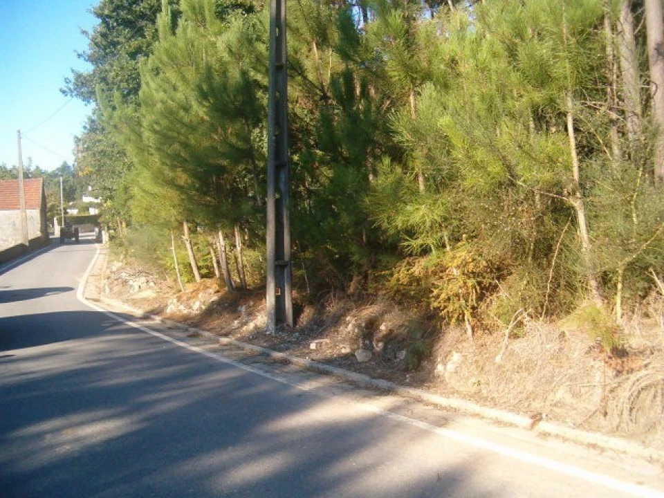 Terreno para Venda em Campos e Vila Meã Foto 1