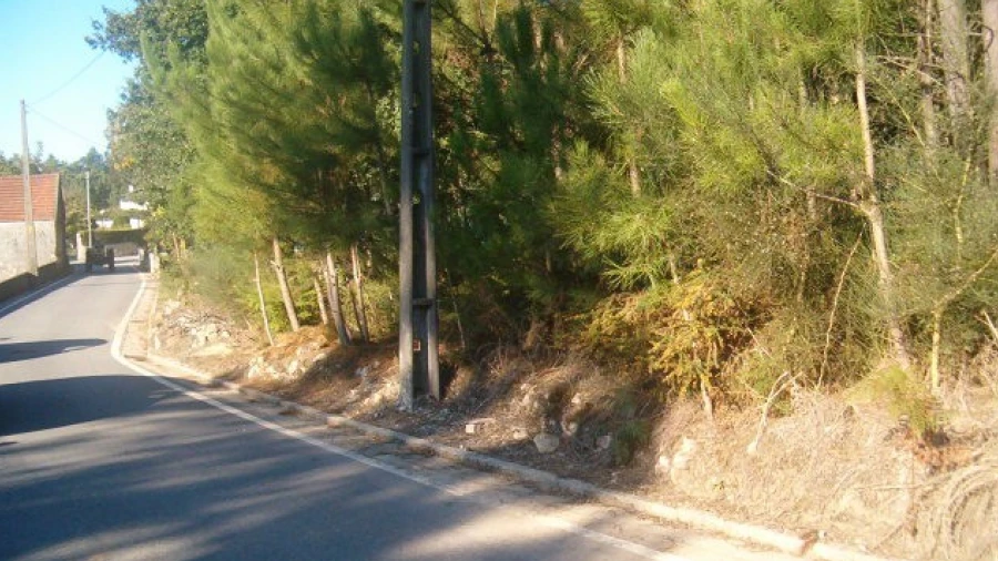 Terreno para Venda em Campos e Vila Meã
