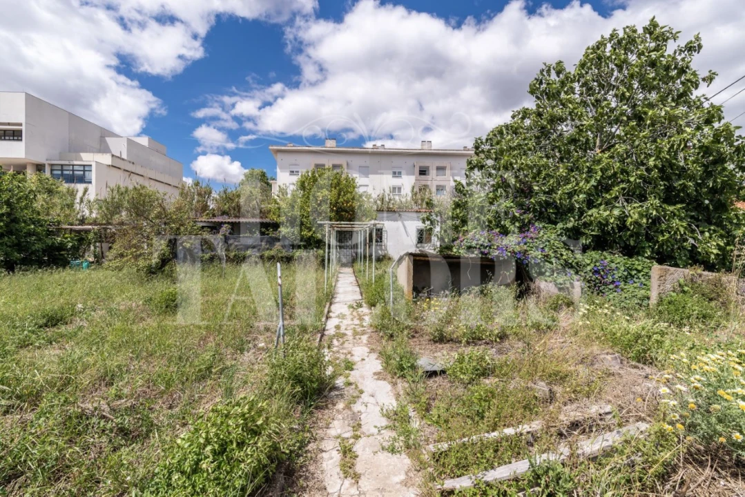 Terreno para Venda em Ajuda Foto 4