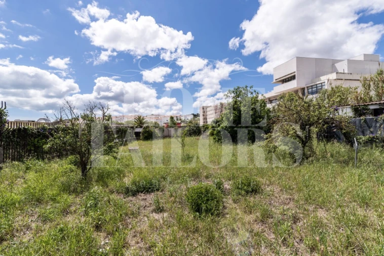 Terreno para Venda em Ajuda Foto 2