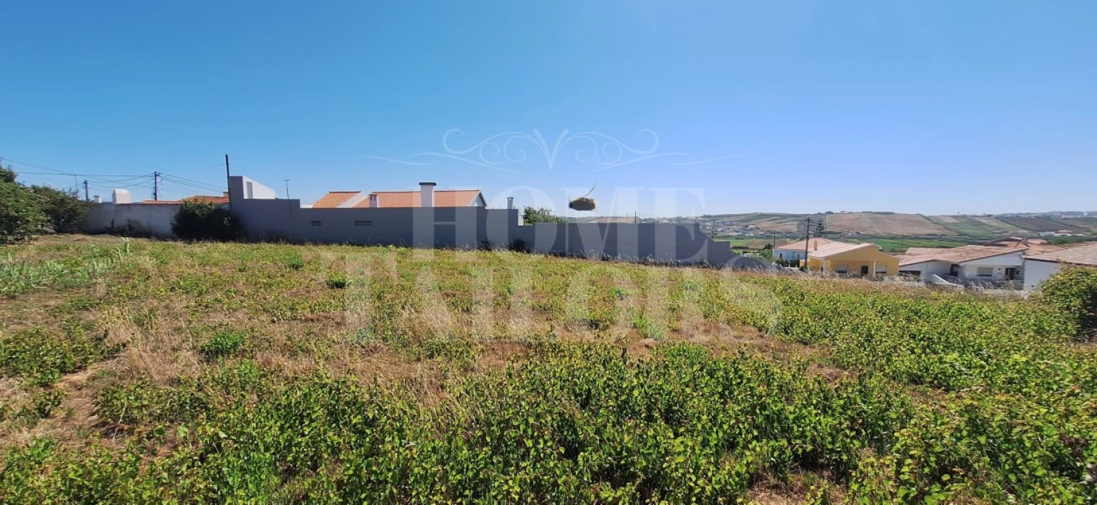 Terreno para Venda em São Pedro da Cadeira Foto 9