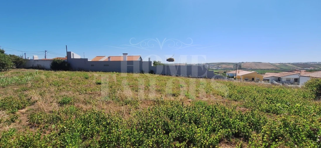 Terreno para Venda em São Pedro da Cadeira Foto 9