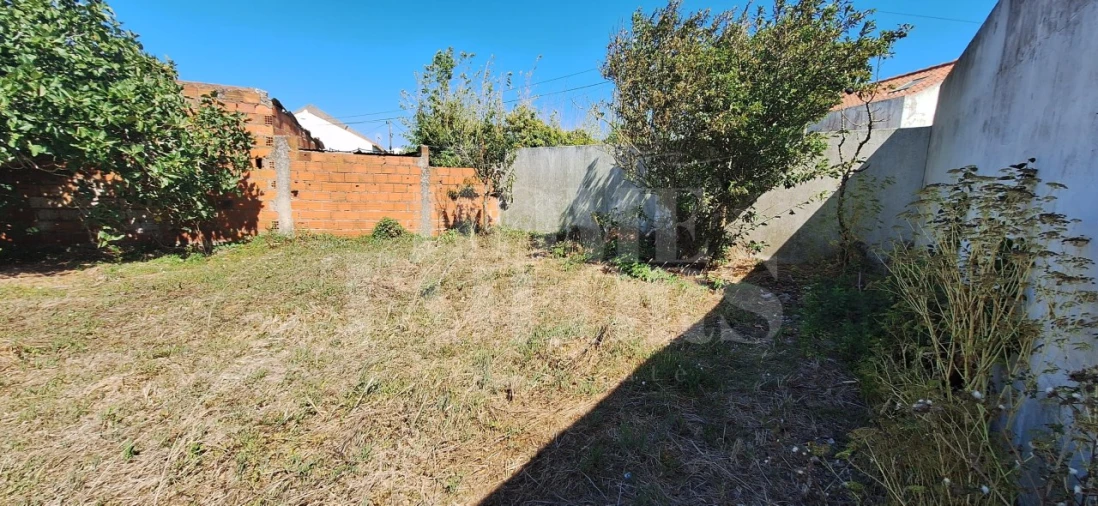 Terreno para Venda em São Pedro da Cadeira Foto 10